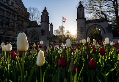 Tulips bloom at sunrise April 21 in front of the Sample Gates.