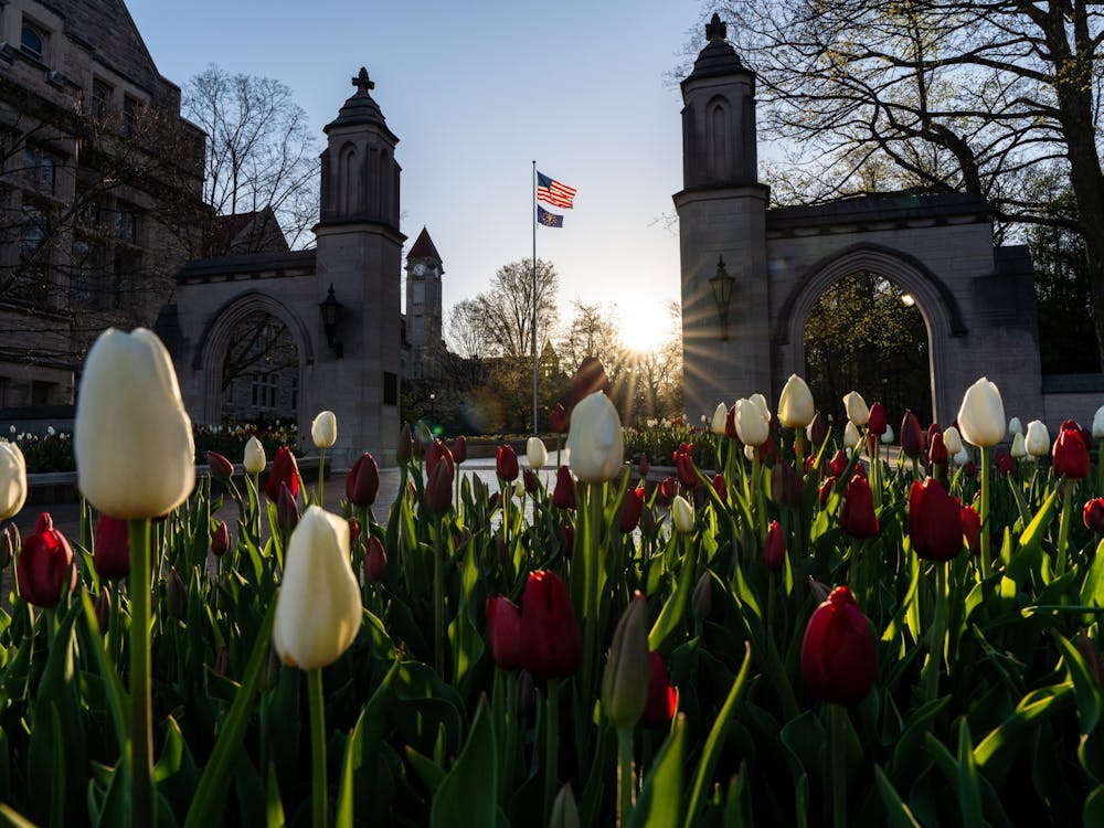 Tulips bloom at sunrise April 21 in front of the Sample Gates.