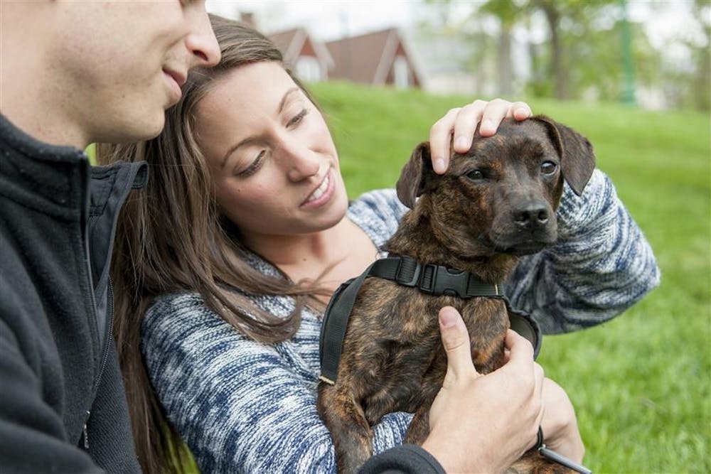 CAROUSELcaRent-A-Puppy