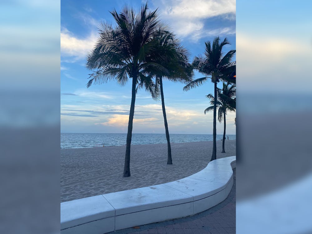 A row of palm trees is photographed, July 18, 2023, at Fort Lauderdale Central Beach. Traveling with friends can be an important milestone.