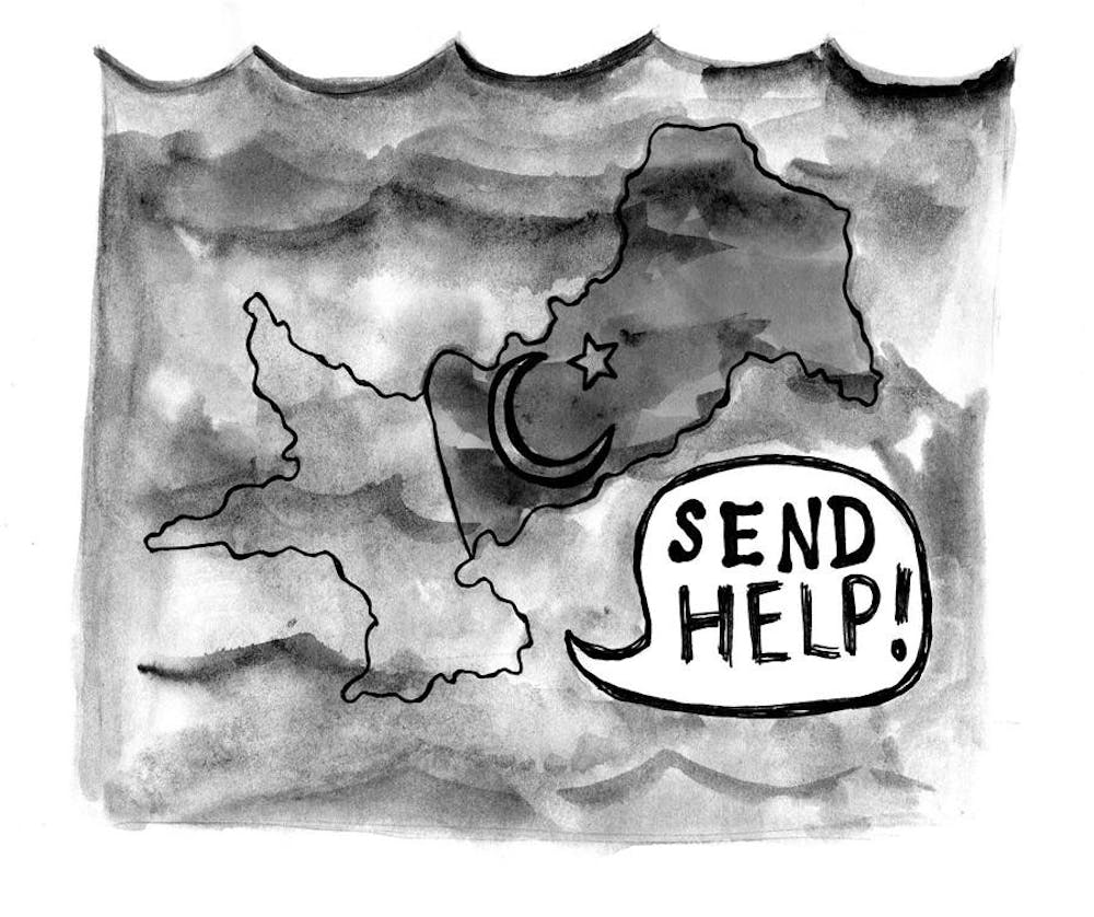 Help Pakistan!