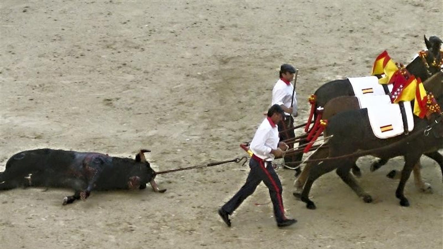 Costumed horses drag the corpse of a bull out of the Plaza de Toros on Sunday in Madrid. The bullfight marks the end of the Festival of San Isidro, a 14-day lineup of nightly bullfights.