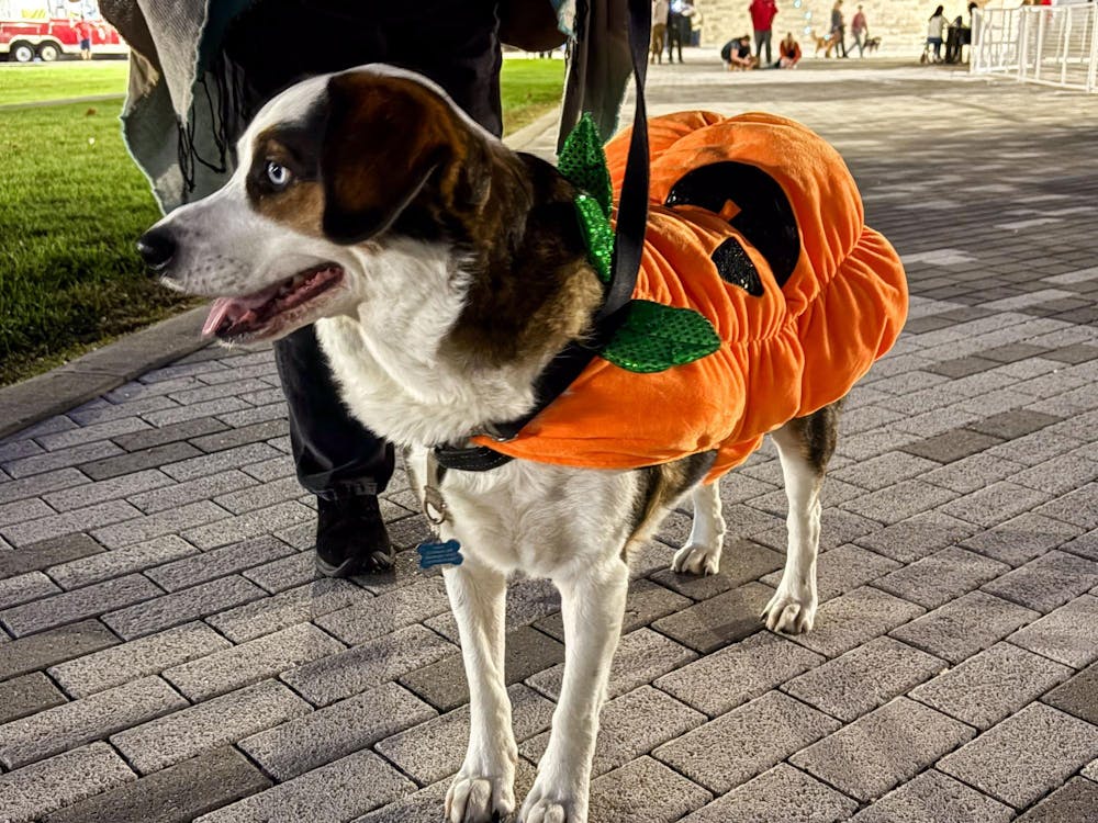 HowlattheMoon (1).jpg