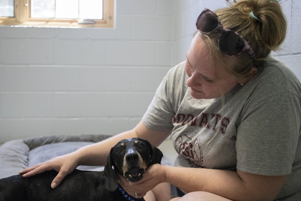<p>Bloomington resident Daniale Sciscoe pets dachshund Rocks on June 26, 2019, at Bloomington Animal Care and Control. The BACC seized 68 dogs on March 17 from an unauthorized hoarding and breeding operation.</p>