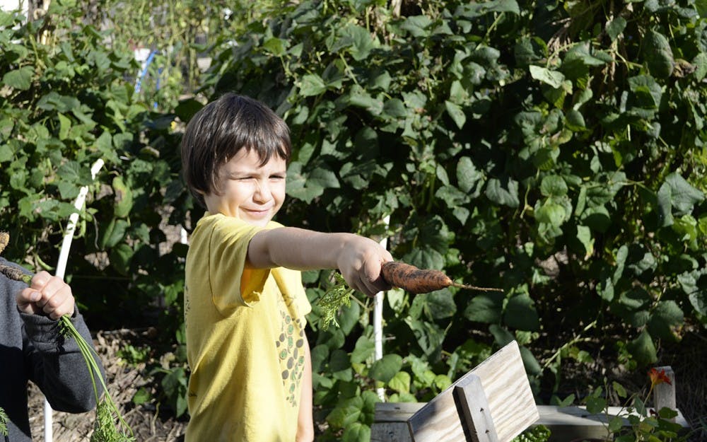 Victor Hamel dug up a carrot in the garden outside Mother Hubbard’s Cupboard.
