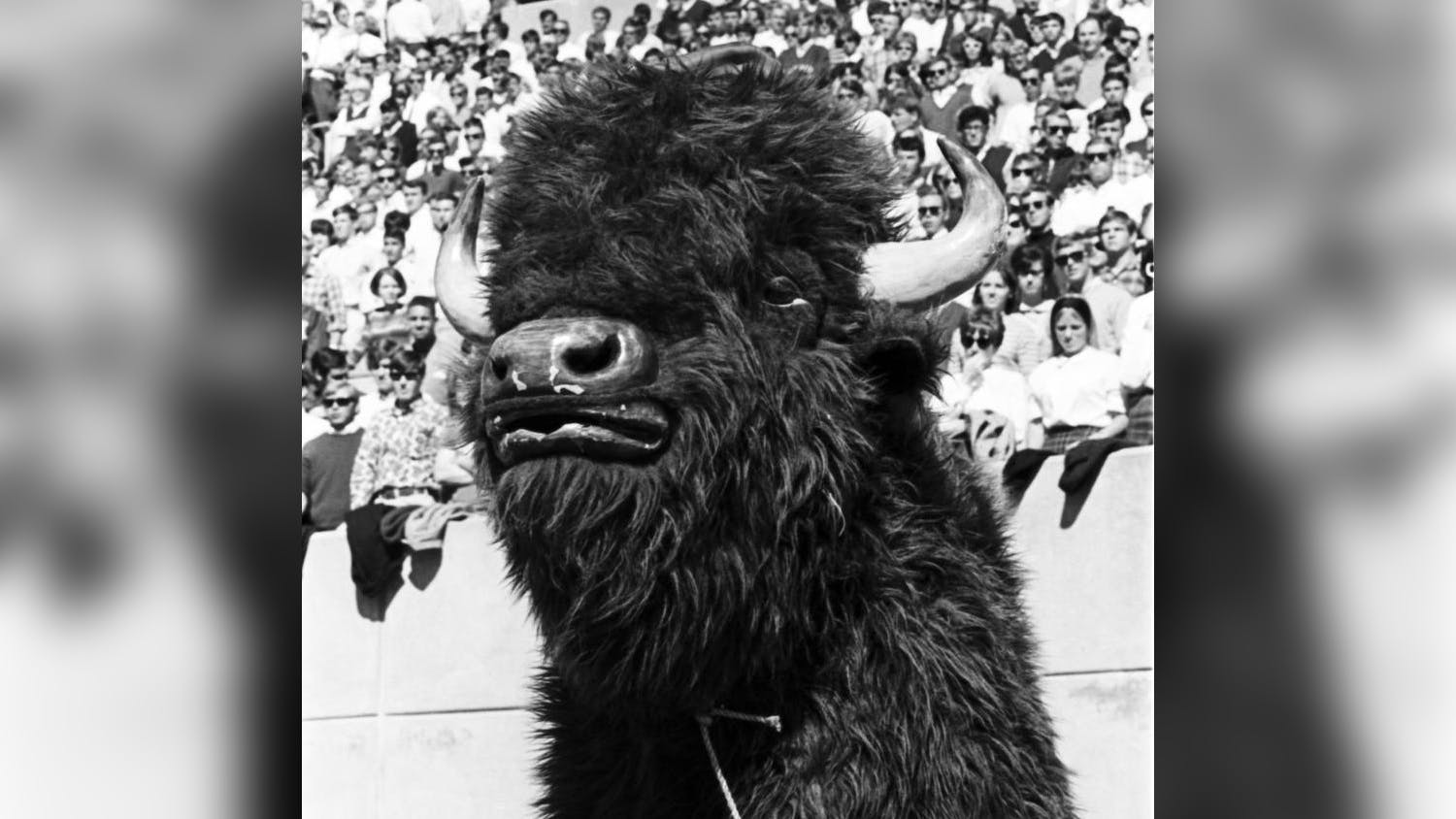 Opmascot032520 copy.jpg