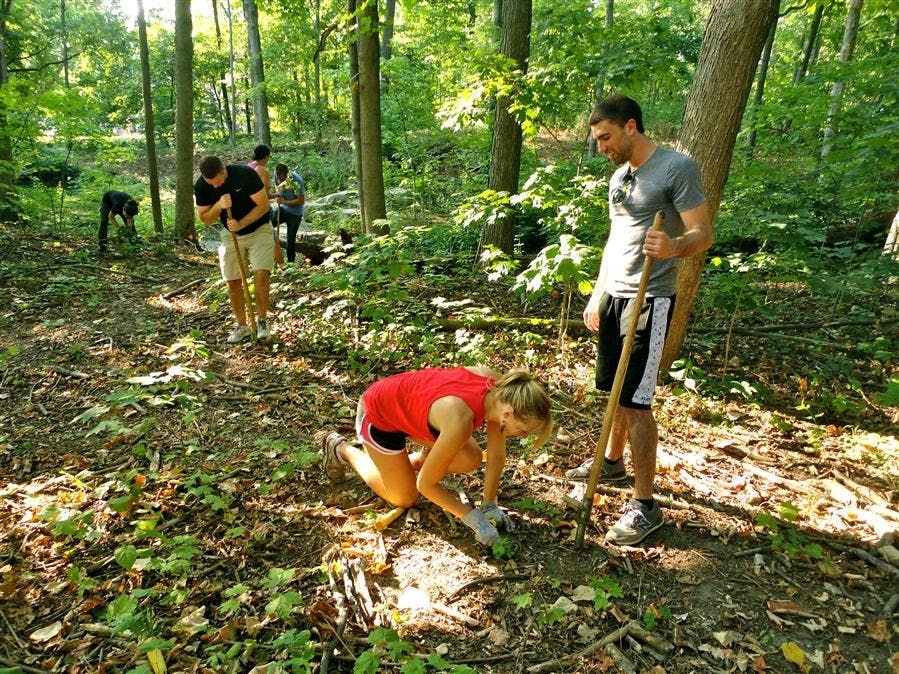 Dunn Woods