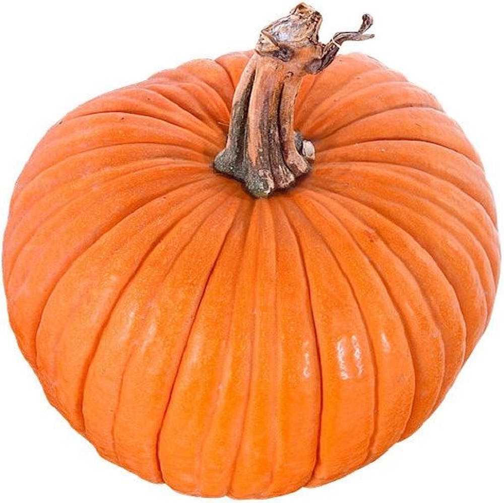 Pumpkin