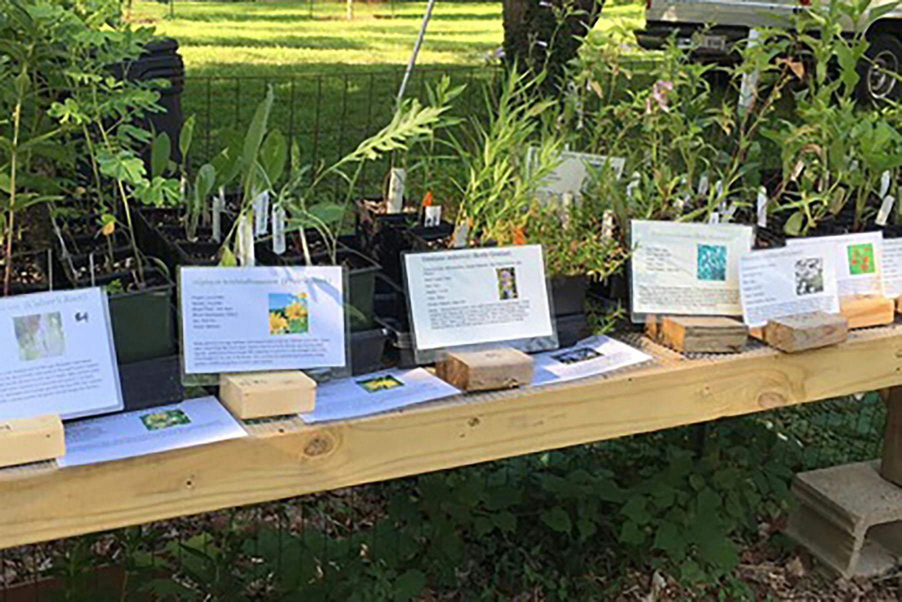 Entplantsale042221.jpg