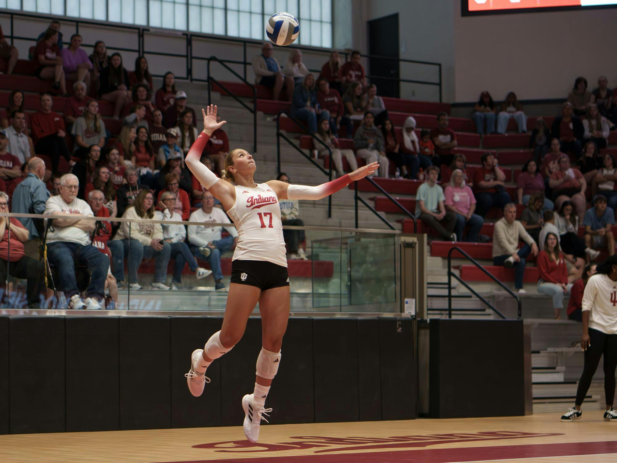 vivolleyball-7.jpg
