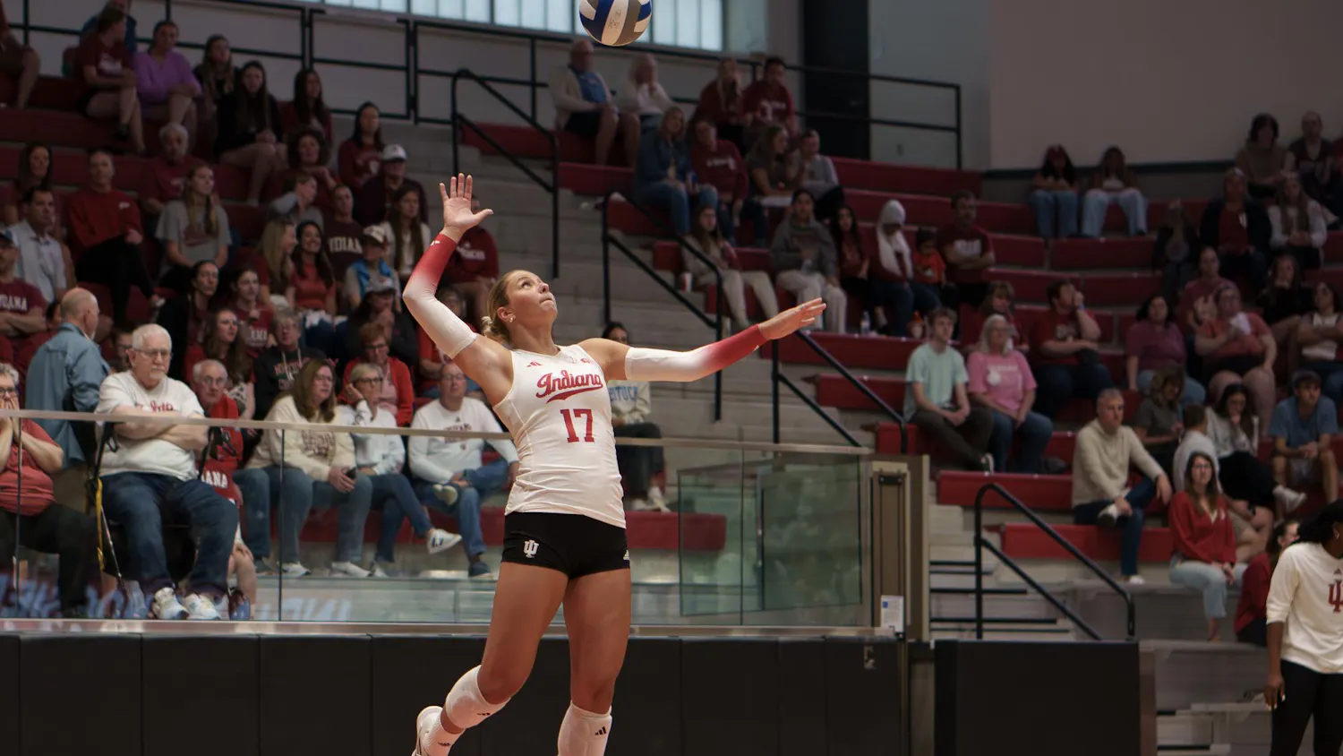 vivolleyball-7.jpg
