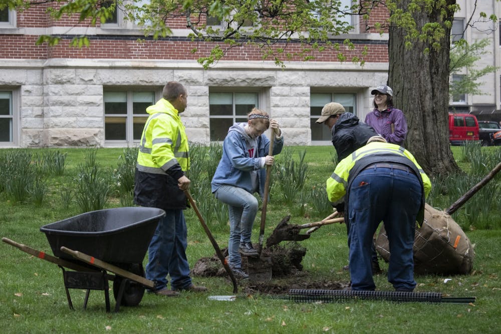 <p>IU’s landscaping services employees and students dig holes for new trees April 25, 2019, outside of Dunn&#x27;s Woods.  IU Landscaping Services staff continues to plant flowers and maintain the grounds throughout the campus this spring, while students move to remote learning in response to the COVID-19 pandemic.</p>
