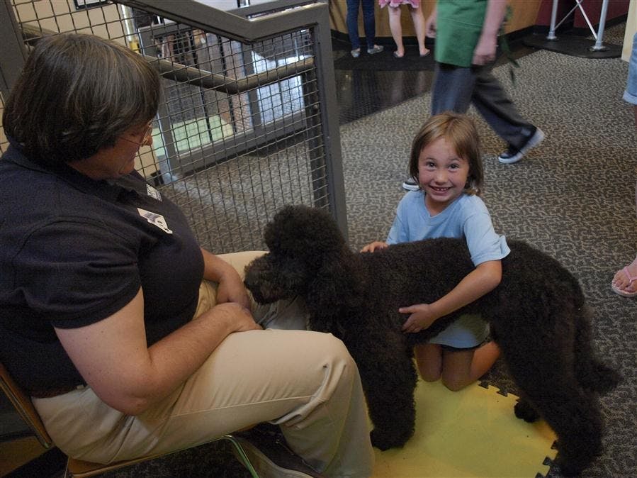 Adventures in Animal Behavior