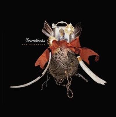 bowerbirds