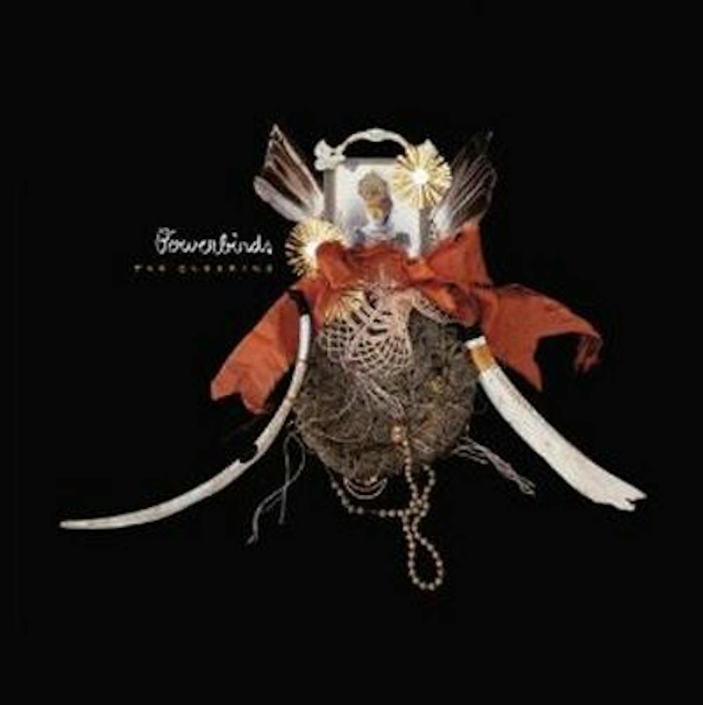 bowerbirds