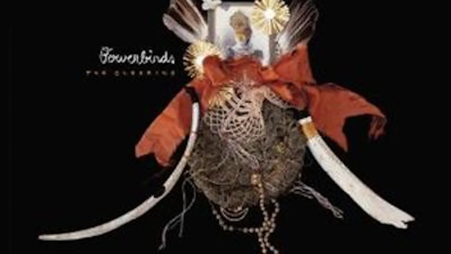 bowerbirds