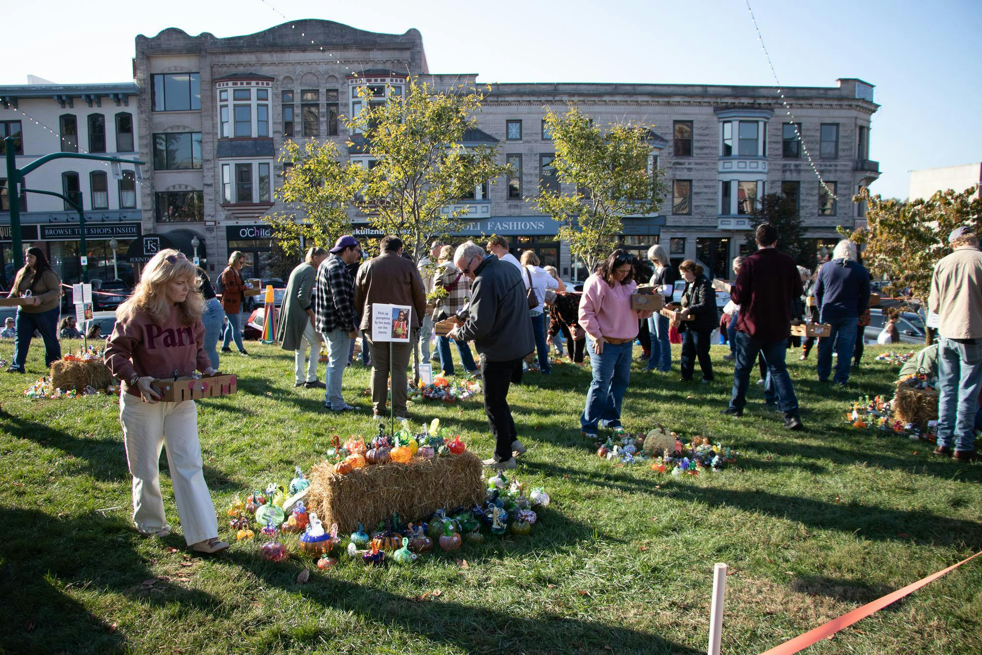 greatglasspumpkinpatch (4).jpg