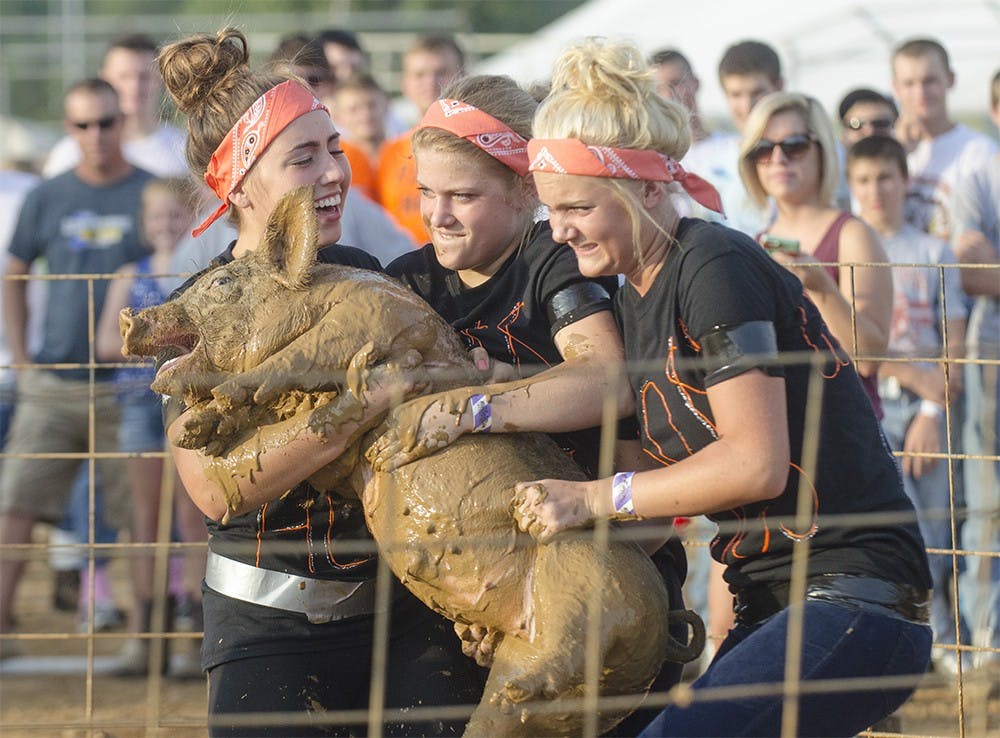The Boss Hogs lift its pig on Tuesday at the Monroe County Fair hog wrestling contest. The team came in second in the girls 16 to 18-year-old bracket. 