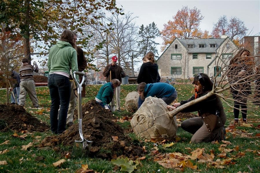Tree Planting