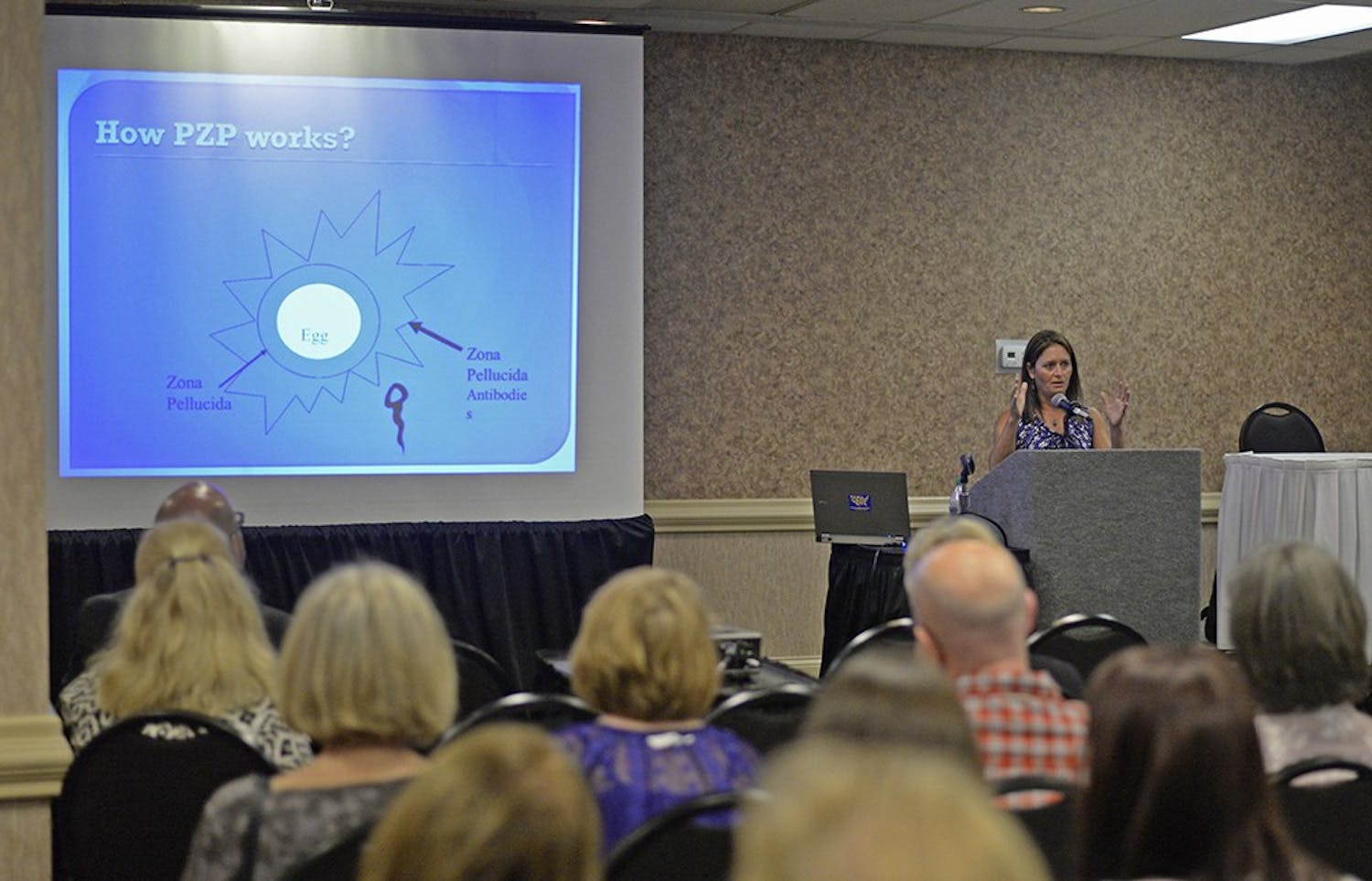 Stephanie Boyles Griffin from the Humane Society of the United States speaks about nonlethal ways to halt the growing deer population in Bloomington at a meeting Tuesday at the Monroe County Convention Center. One of the research methods HSUS she talked about was the immunocontraception vaccine, Porcine Zona Pellucida, which is used as a fertility control drug.