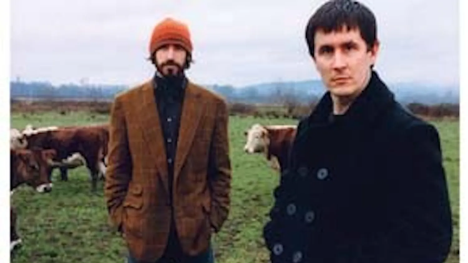 Mountain Goats