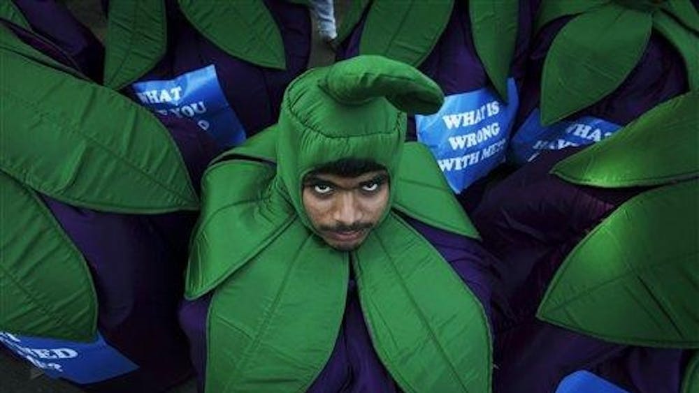 A Greenpeace activist dressed as a brinjal protests against Bt brinjal, a genetically modified egg plant crop in Bangalore, India, Friday. The Indian government is organizing a series of public consultations to decide on the approval of India's first GM crop, Bt brinjal. 