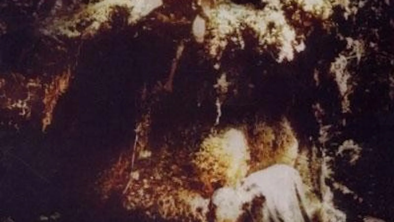 wolves