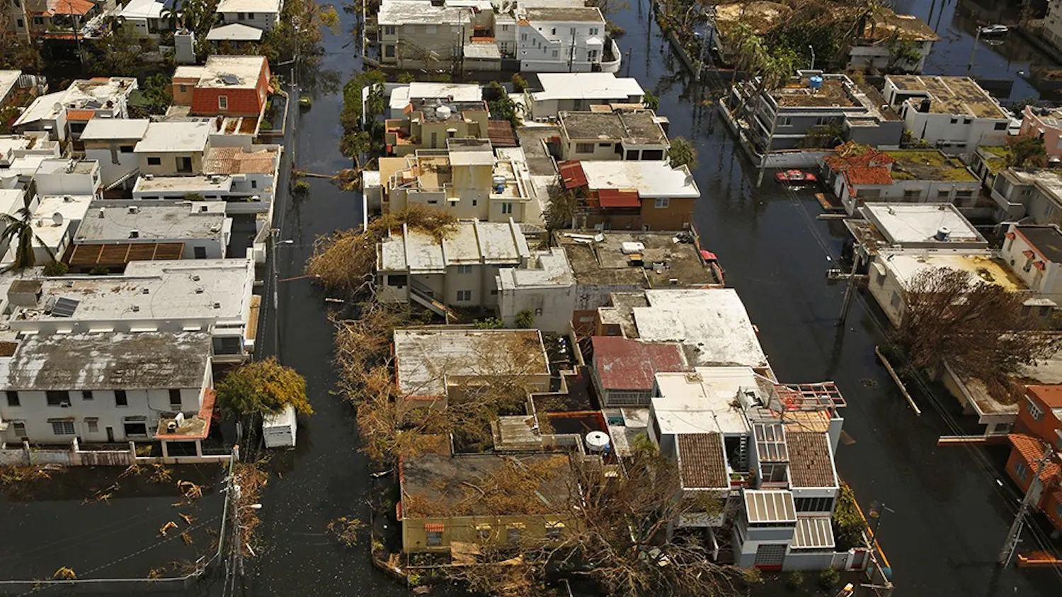 Nearly one week after Hurricane Maria devastated the island of Puerto Rico, residents are still trying to get the basics of food, water, gas and money from banks. Much of the damage done was to electrical wires, fallen trees and flattened vegetation, in addition to wooden home roofs torn off. 