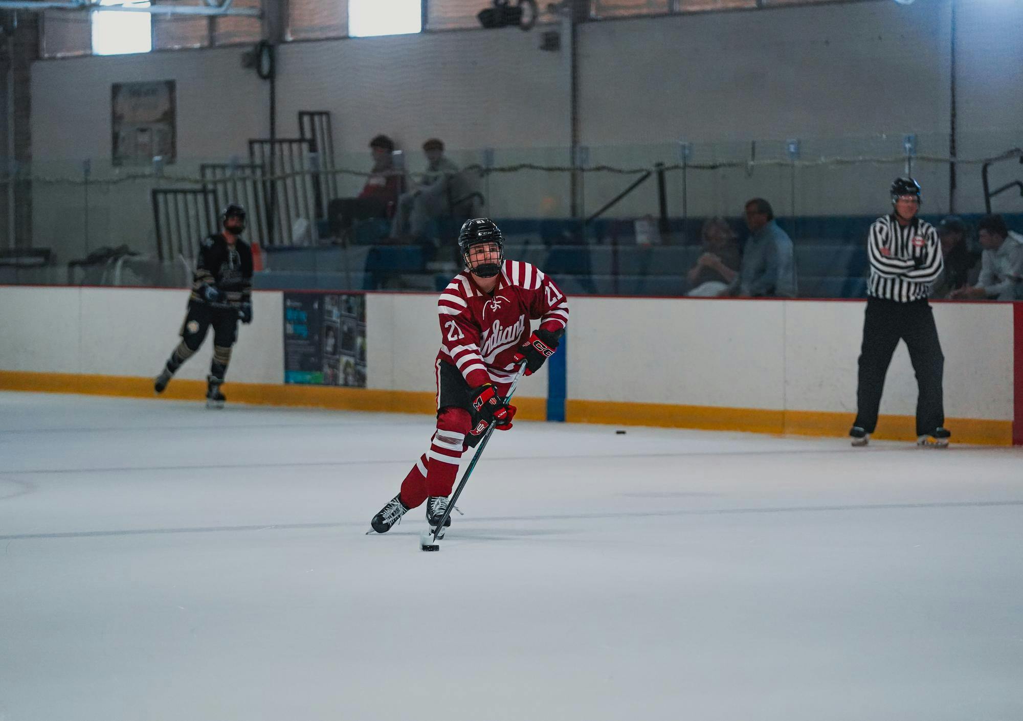 vid3hockey_jpg-2