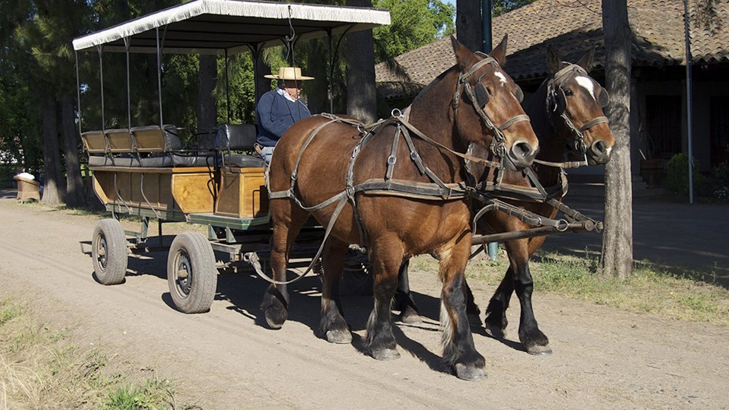 he winery provides horse-drawn carriage tours, allowing visitors to relax and enjoy the warm air and refreshing scents around the vineyard.