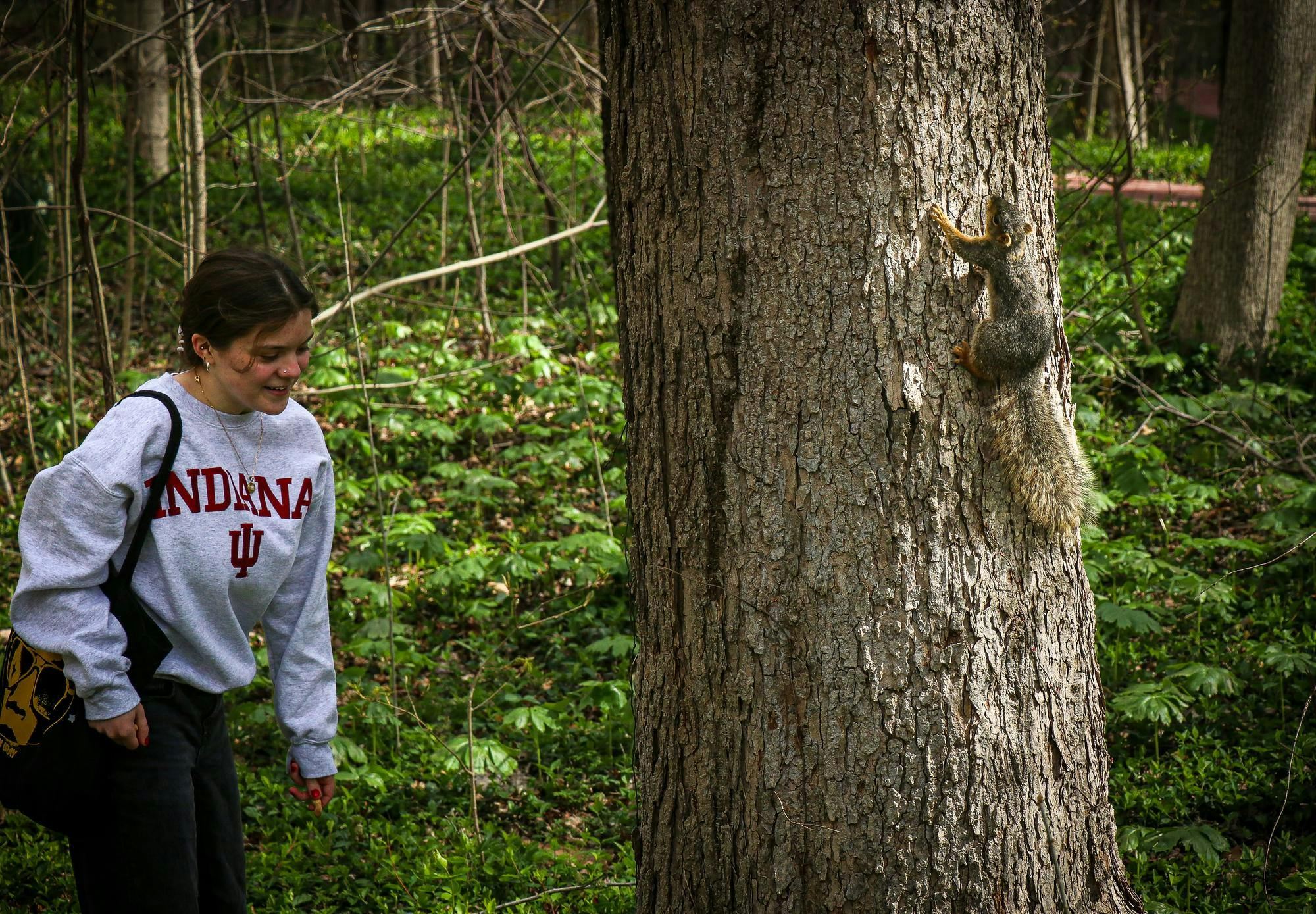 entsquirrels050625.jpg