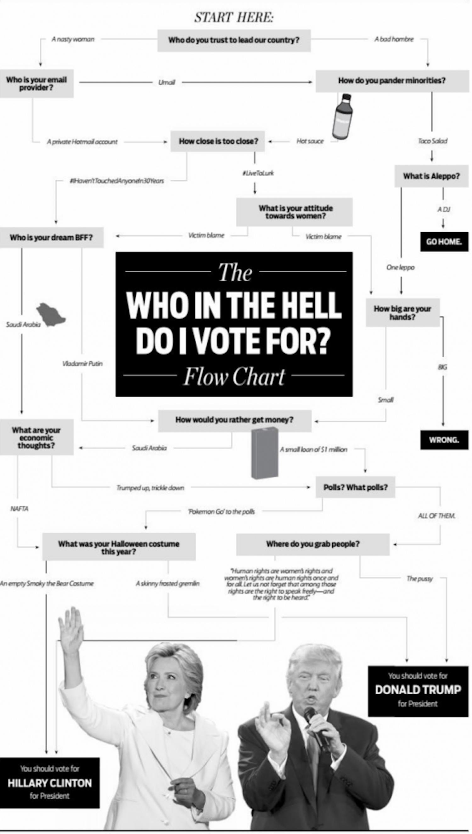 Opinion | The Who in the Hell Do I Vote For? flow chart