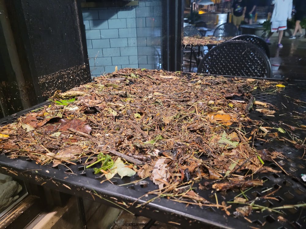 Leaves, dirt and twigs sit on table June 18 on Kirkwood Ave. 
