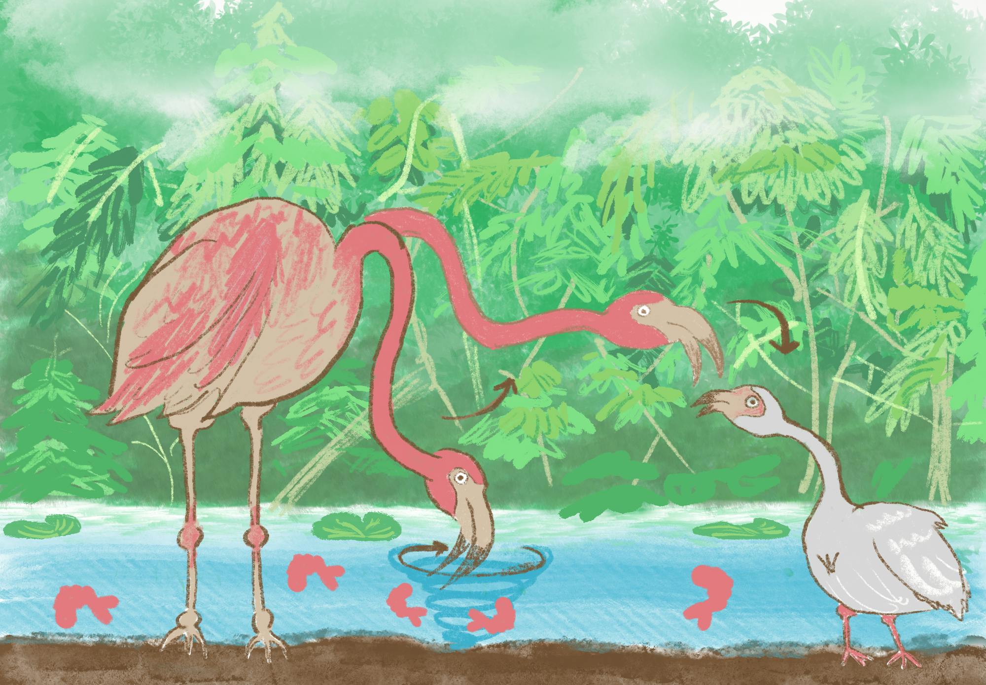 opeverydayepigentics062225