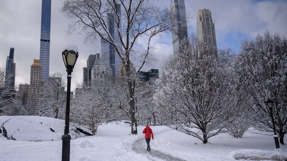 A person walking through Central Park is seen Jan. 7, 2022. What is now Central Park was once Seneca Village, a thriving Black community in New York in the 19th century.