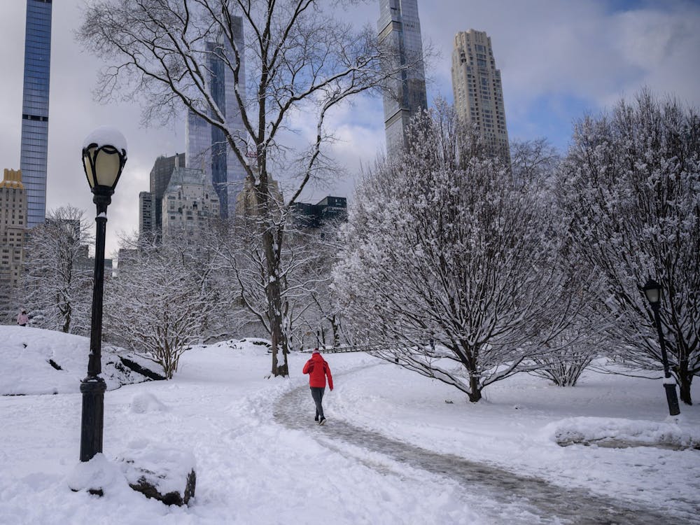 A person walking through Central Park is seen Jan. 7, 2022. What is now Central Park was once Seneca Village, a thriving Black community in New York in the 19th century.
