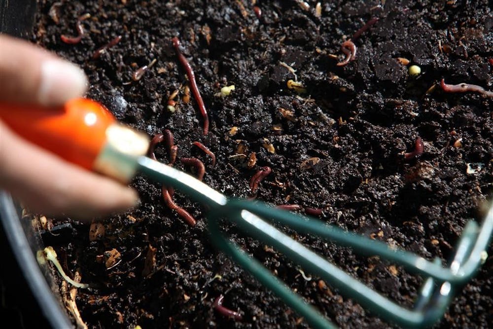 Make your own compost and waste a little less this summer!