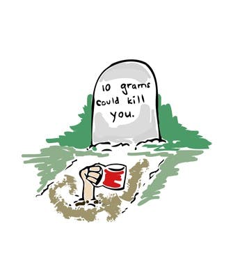 100% women will be shown on Friday of the festival.