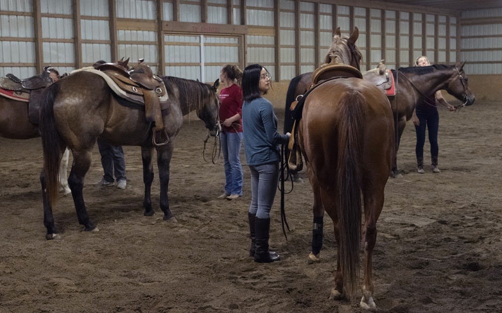 Ruizi Li, a post-doctorate at IU, stands with her horse as her teammates prepare their horses to ride. The IU Western Equestrian Team meets regularly to practice at Big Star Stables.