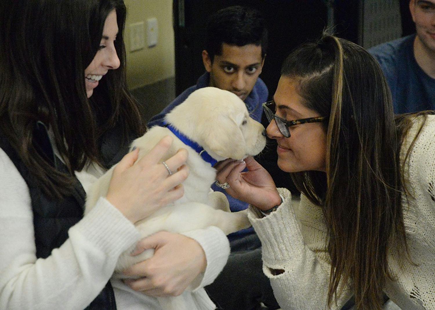 Seniors Abbey Stoller and Andrea Updike play with a puppy during a destress session on Wednesday in Hodge Hall. The event was hosted by ICAN at Indiana University, an organization that trains service dogs.&nbsp;