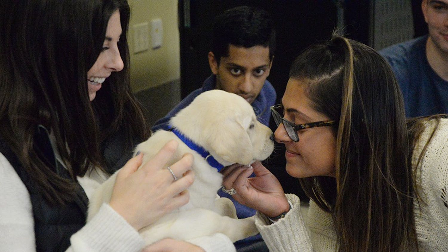 Seniors Abbey Stoller and Andrea Updike play with a puppy during a destress session on Wednesday in Hodge Hall. The event was hosted by ICAN at Indiana University, an organization that trains service dogs.&nbsp;