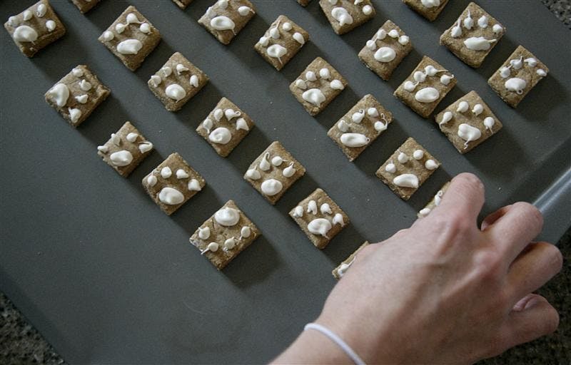 IU Alumnae and Bloomington Residents, Meagan Lisby and Angela Beard created The Bone Appetreat. Their objective is to make handmade organic dog treats. 
