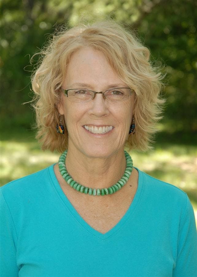 Lee Jones - County Council Democrat