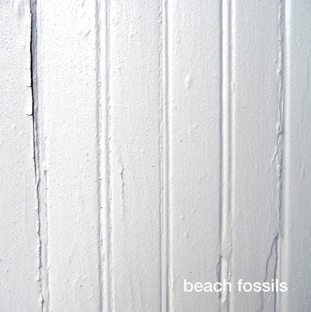 fossils