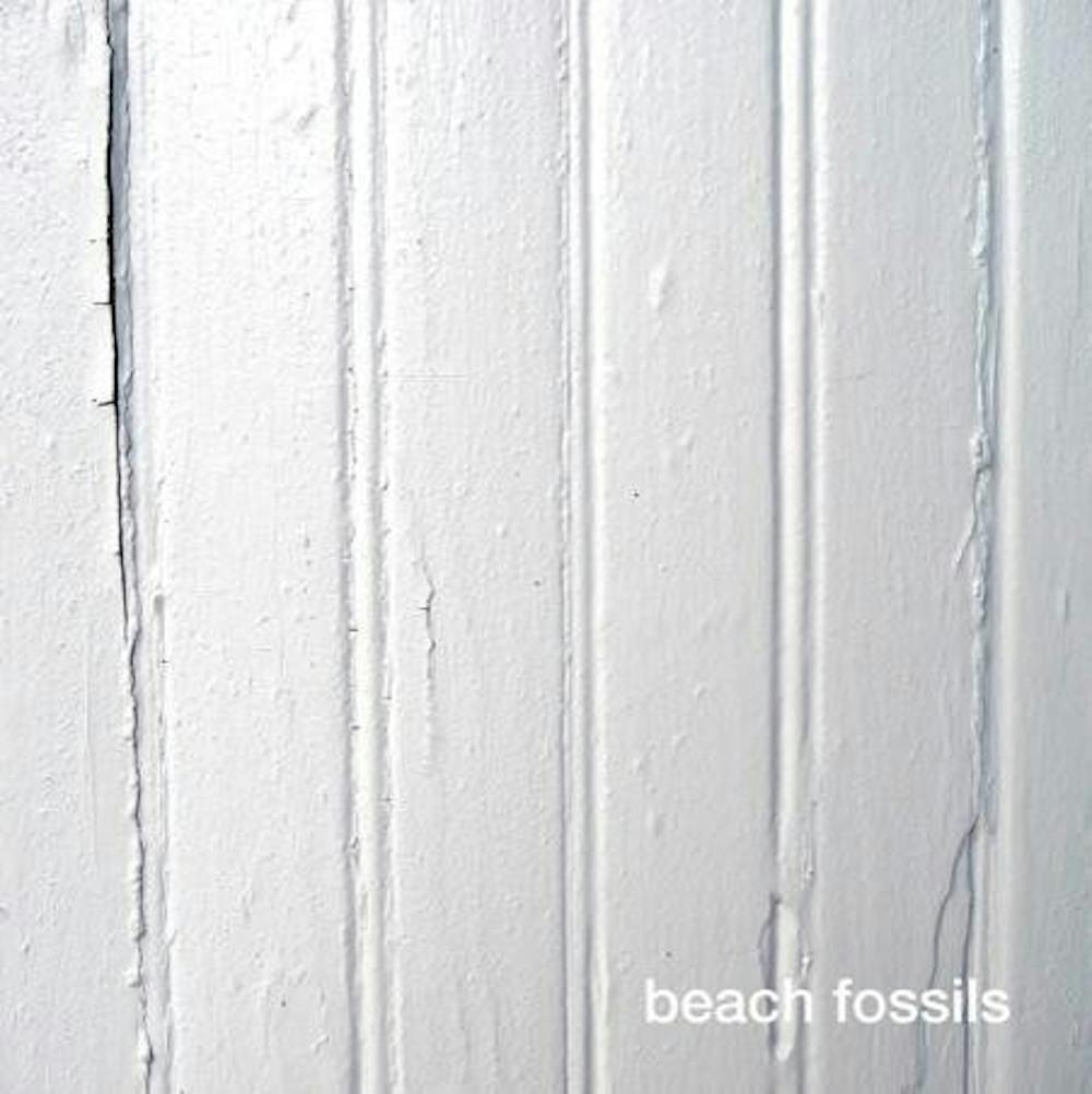 fossils