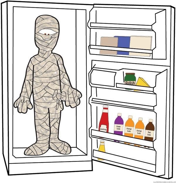 Illustration by Rebecca Westall 