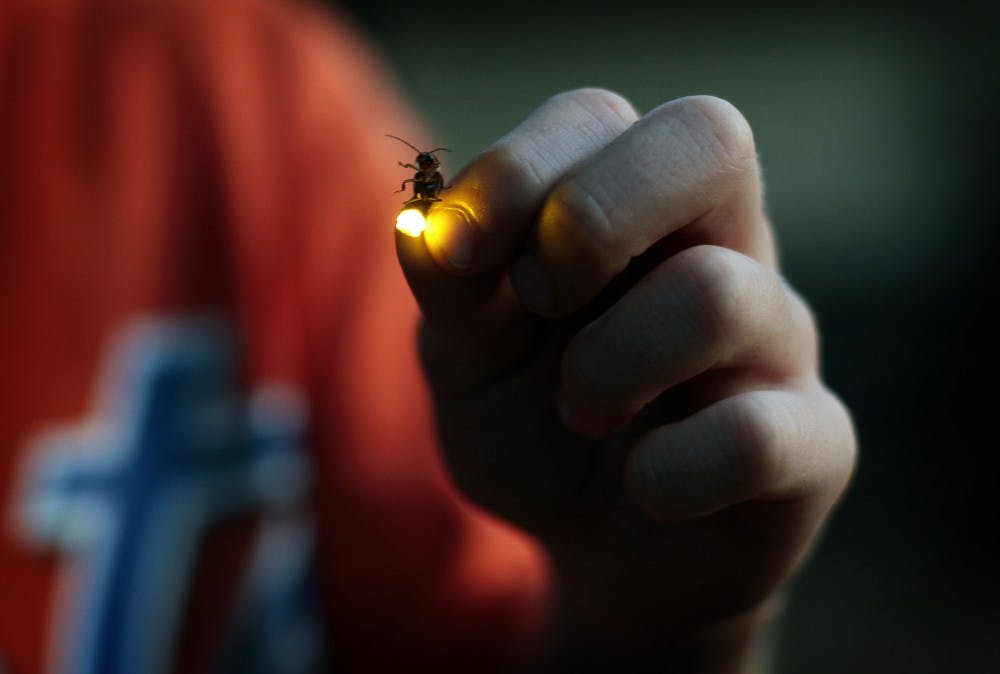 Gov. Eric Holcomb has officially signed Senate Bill 236 into law, making the Say’s Firefly Indiana’s state insect. Since the 2014-2015 school year, elementary school students have been pushing to pass legislation giving Indiana a state insect.