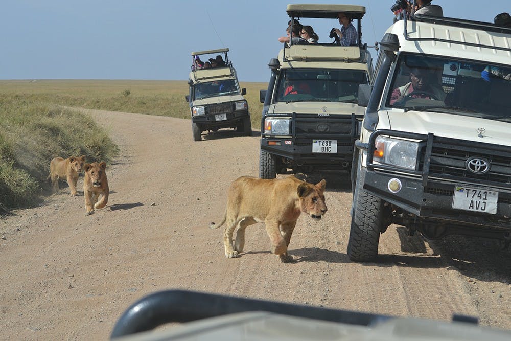 Members of the Geological Studies Department sightsee in Tanzania. Applications for this year's trip are now open.