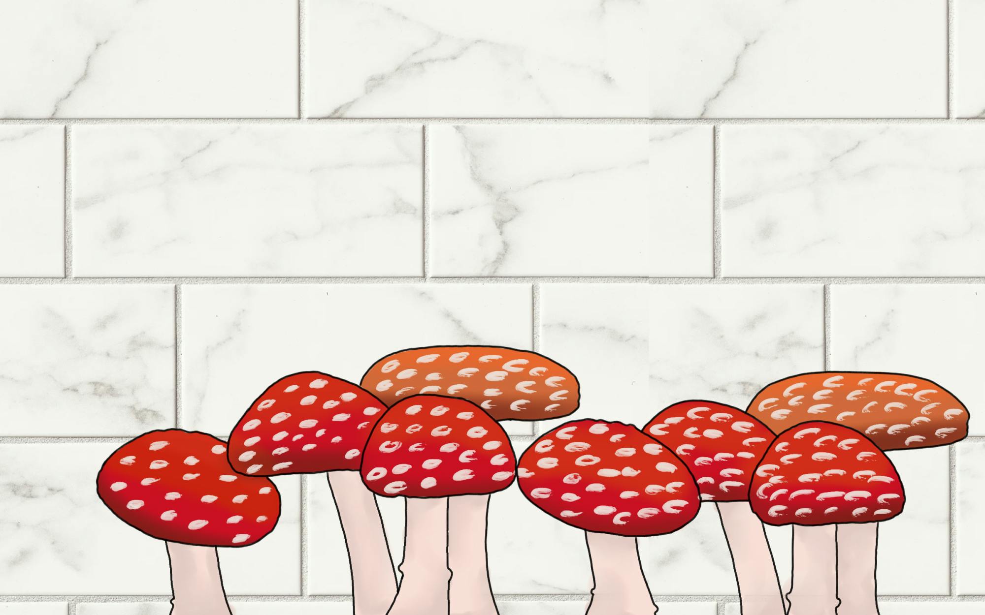 bvmushrooms092921-illo