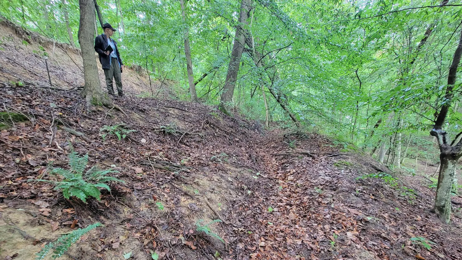 calandslides012825.jpg